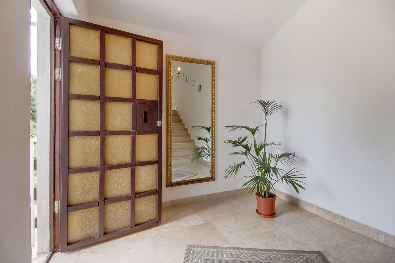 Apartments Mirella 木洛希尼 外观 照片